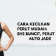 cara kecilkan perut